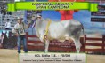 /album/resultados-hembras-guzera/a5-campeona-adulta-y-gran-campeona-jpg/